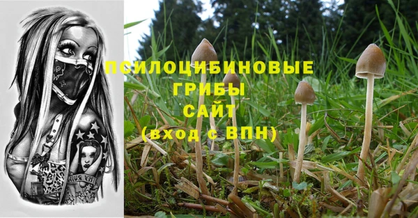 дживик Абаза